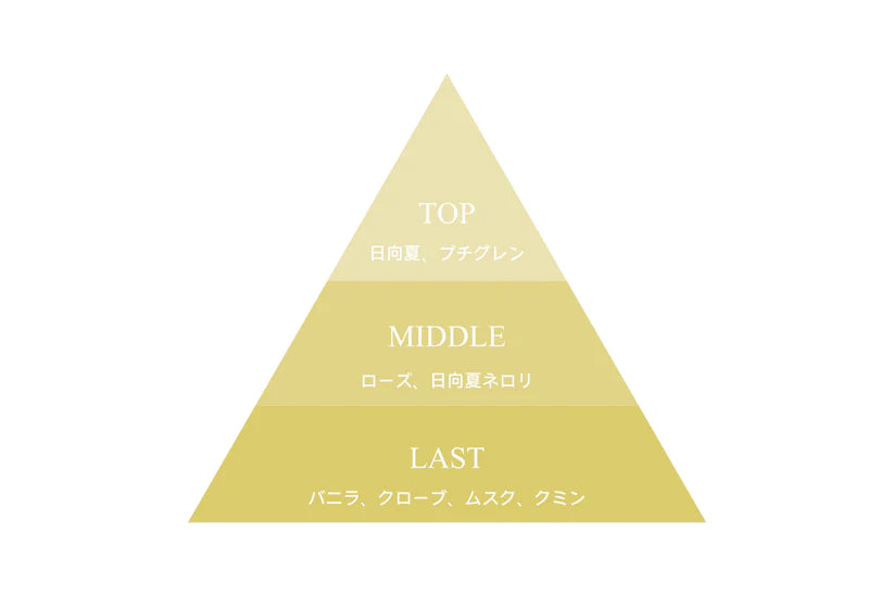 9KOS Okawali Candle | New Summer Orange from Nichinan, Miyazaki