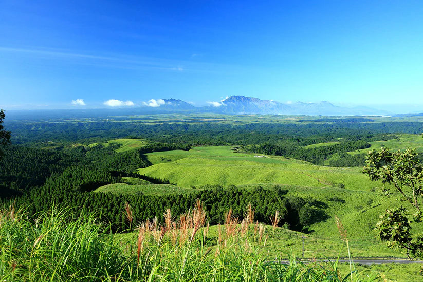 9KOS Diffuser | Hinoki & Volcano from Aso, Kumamoto