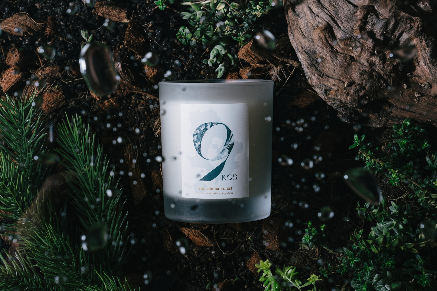9KOS Okawali Candle | Yakushima Forest from Yakushima, Kagoshima