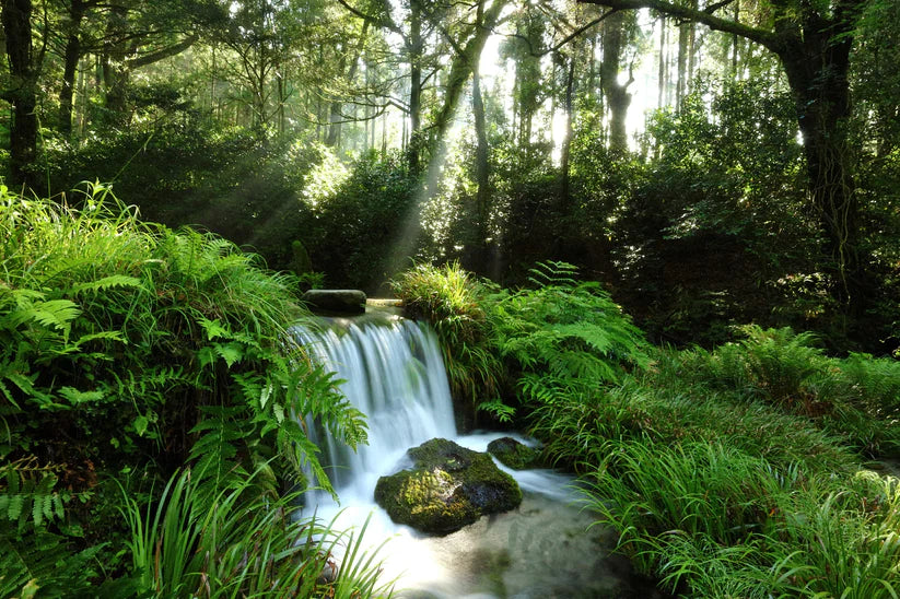 9KOS Room Spray | Hinoki & Volcano from Aso, Kumamoto