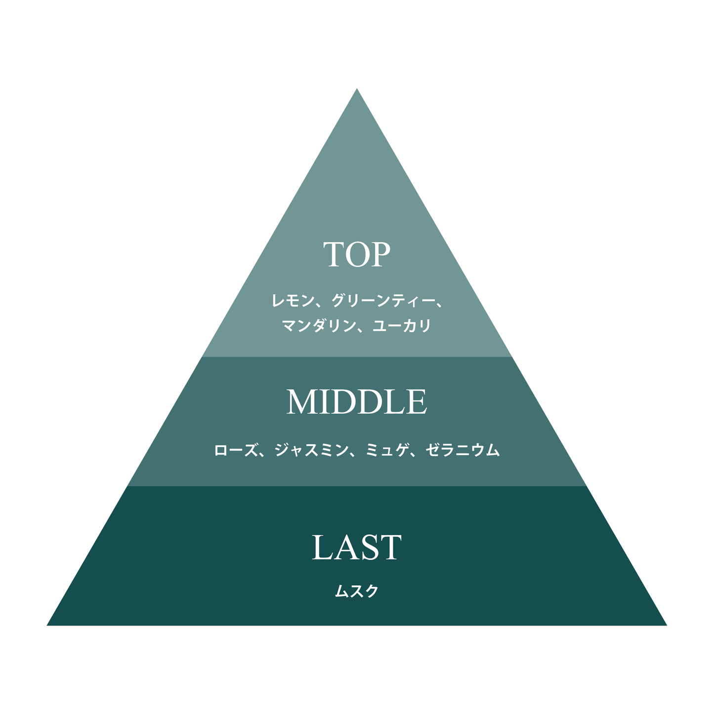 9KOS Candle | Starry Yame from Yame, Fukuoka -Night Fragrance:夜の八女-