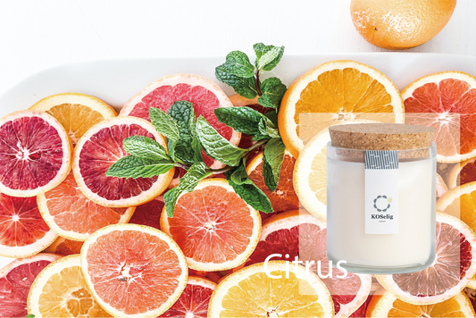 Citrus【シトラス】|アップサイクルキャンドル
