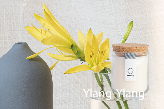 Ylang-Ylang【イランイラン】|アップサイクルキャンドル