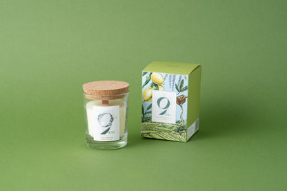 9KOS Candle | Yame Green Tea from Yame, Fukuoka -Day Fragrance：昼の八女-