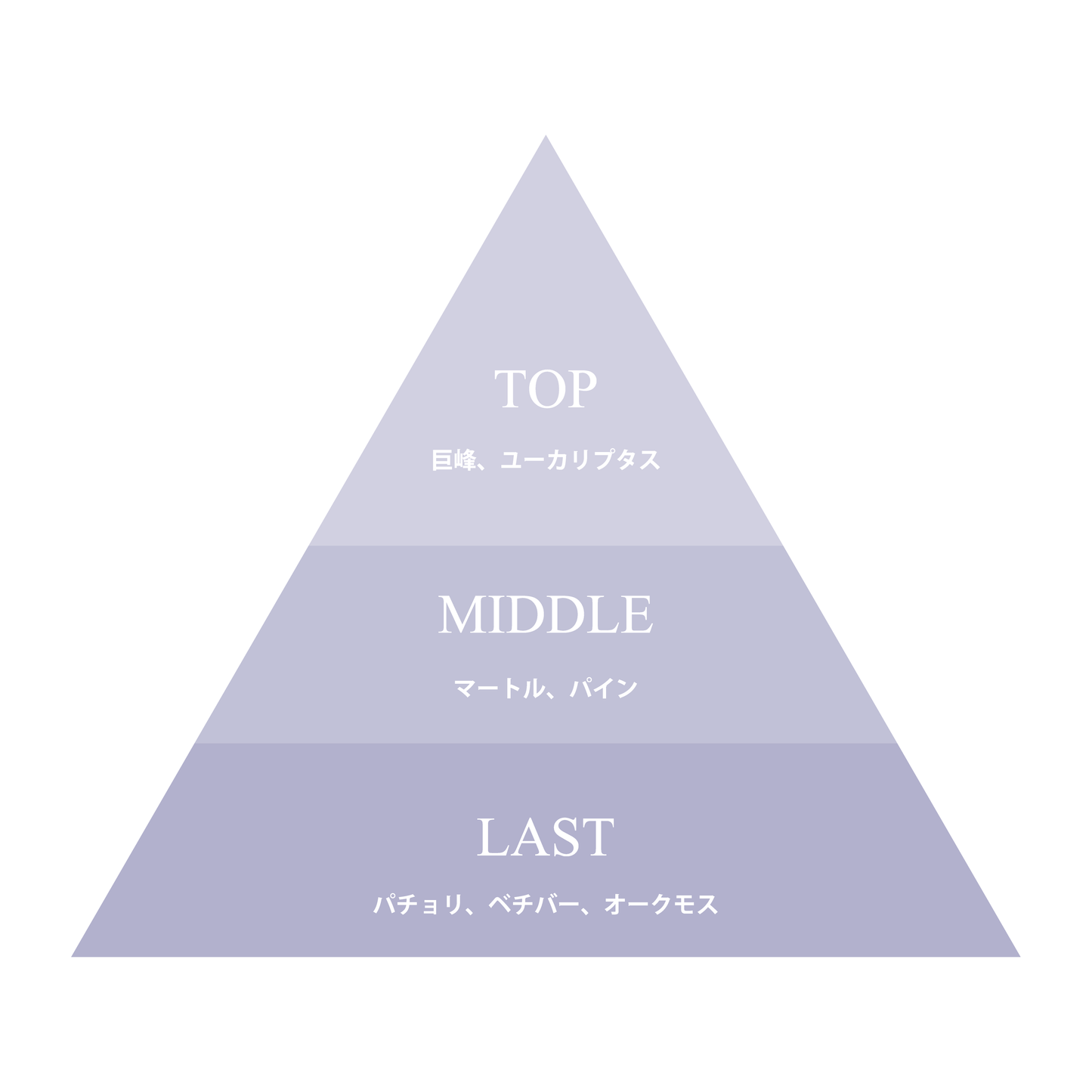 【9/4(金)まで 先行販売15%OFF】福岡・久留米の香りプロジェクト Kyoho Nostalgia