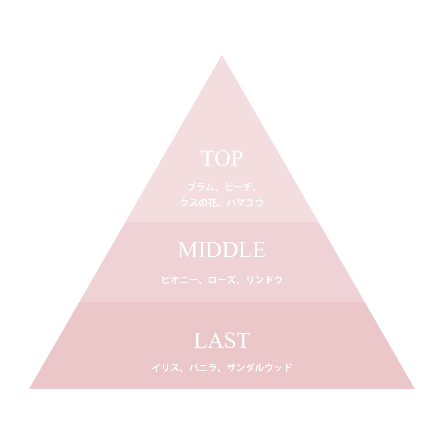 9KOS Eau de Parfum | Nine Bouquet from Kyushu, Japan