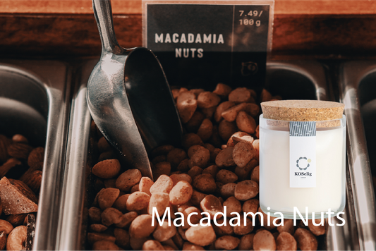 Macadamia Nuts【マカダミアナッツ】|アップサイクルキャンドル