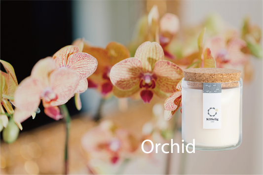 （New!）Orchid【蘭】|アップサイクルキャンドル