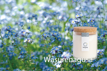 Wasurenagusa【忘れな草】|アップサイクルキャンドル